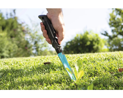 Sarcloir à main utilisé pour enlever les mauvaises herbes dans la pelouse.