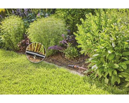 Tropfbewässerungssystem im Garten zur Pflanzenbewässerung