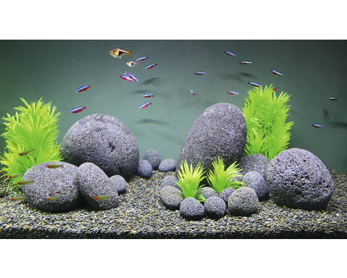 Aquarium avec poissons, pierres, gravier et plantes artificielles