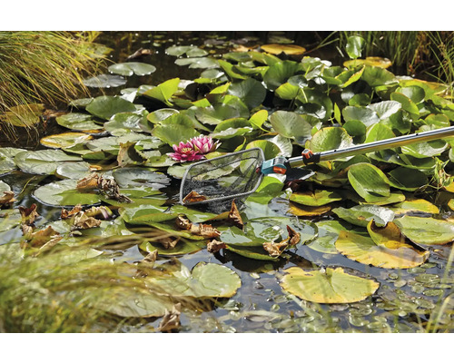 Teich mit Seerosen und einem Kescher zur Reinigung