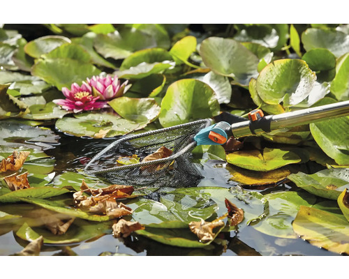 Teich mit Seerosen und Teichkescher