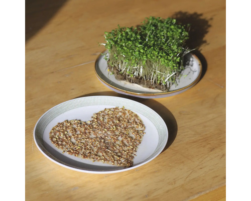 Kresse in Herzform und Kresse auf einem Teller