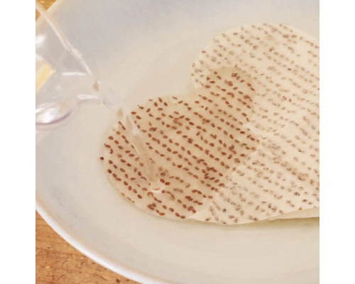 Herzförmige Aussaathilfe wird mit Wasser befeuchtet