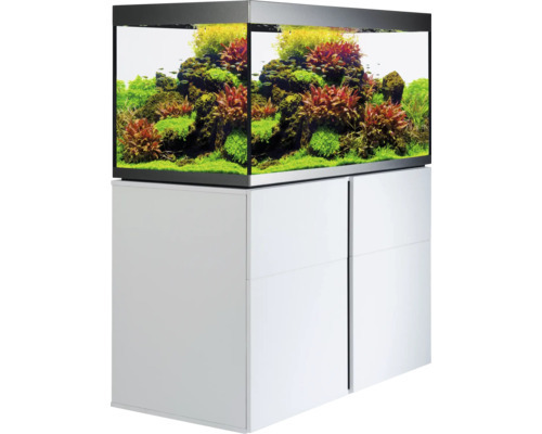 Aquarium avec meuble bas et végétation