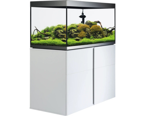 Aquarium avec meuble bas et aménagement intérieur