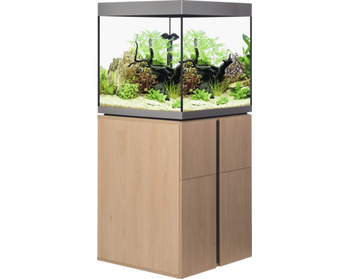 Aquarium avec meuble bas et plantes