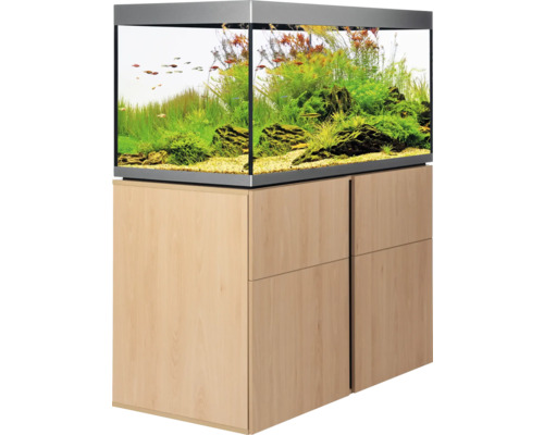 Aquarium avec meuble bas, planté et avec poissons