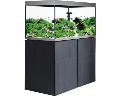 Aquarium avec meuble bas, décoration, plantes et poissons inclus