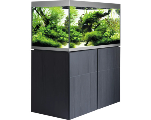 Aquarium avec meuble bas et plantations
