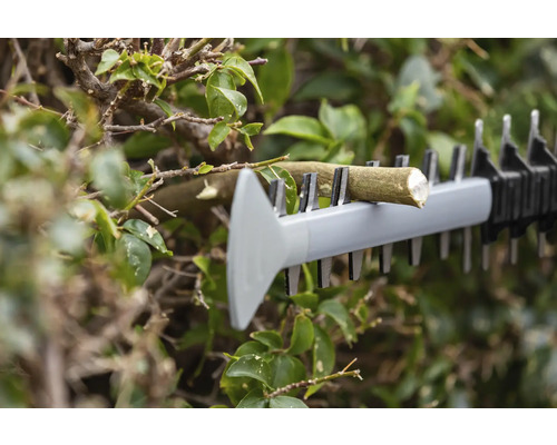 Heckenschere schneidet Ast