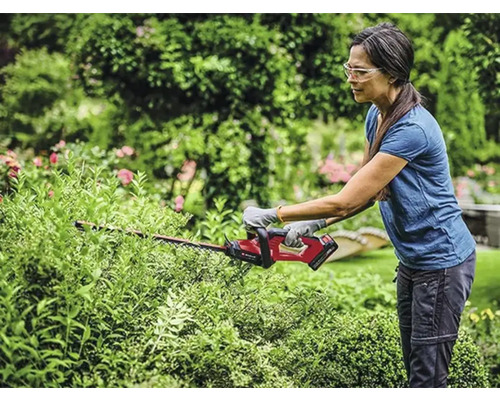 Eine Frau schneidet eine Hecke mit einer Heckenschere in einem Garten.