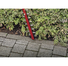 Taille-haie coupant une haie
