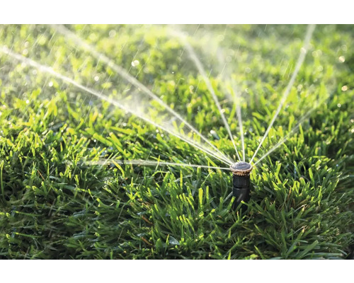 Rasensprenger bewässert Rasenfläche