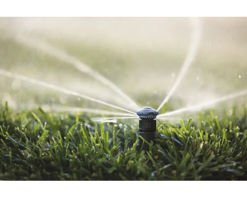 Rasensprenger bewässert Rasenfläche