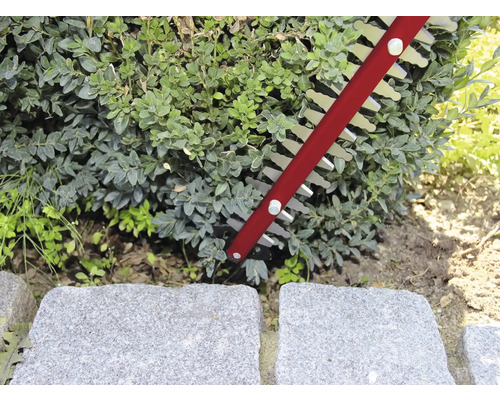 Heckenschere beim Schneiden einer Hecke