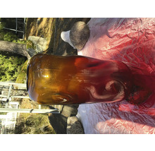Grand vase en verre pour la décoration