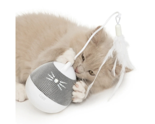 Chat jouant avec un jouet interactif pour chat Catit avec plume