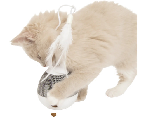 Chat jouant avec un ballon distributeur de nourriture et une plume