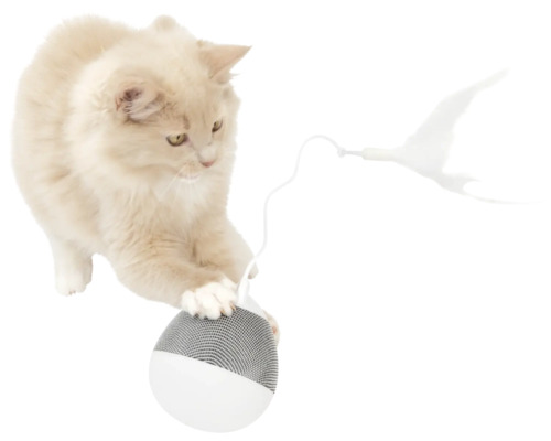 Chat jouant avec un jouet pour chat avec plume