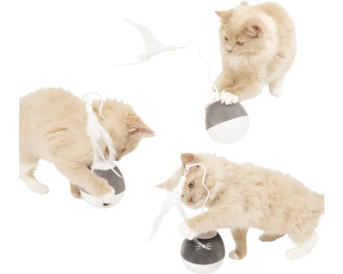Trois chats jouent avec une balle jouet avec plume