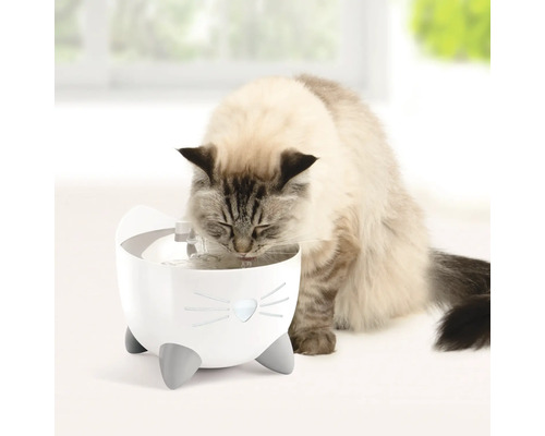 Chat buvant dans une fontaine à eau pour chats en forme de chat