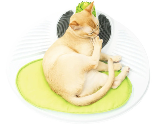 Katze liegt auf Kratzbaum mit Kissen