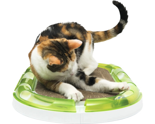 Katze kratzt sich auf einem Kratzbrett mit Spielzeugball