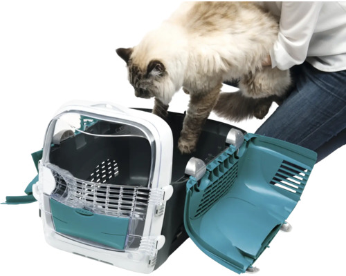 Chat placé dans une boîte de transport ouverte