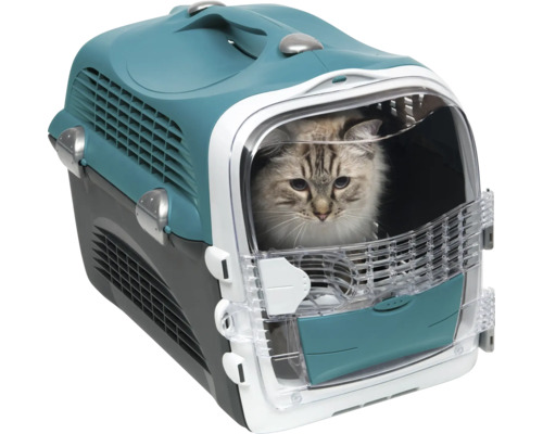 Cage de transport pour chats avec chat