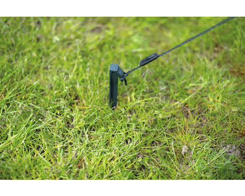 Piquet en plastique avec corde de fixation sur une pelouse