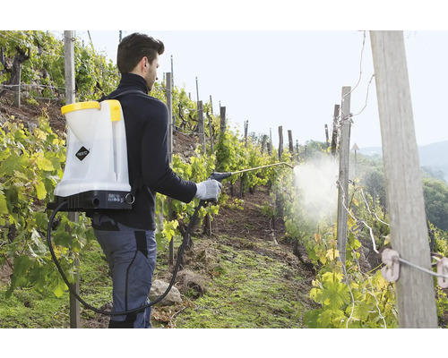 Mann verwendet Rückenspritze im Weinberg zur Schädlingsbekämpfung.