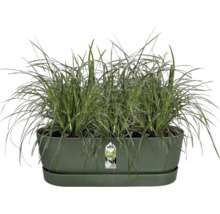 Jardinière à herbes aromatiques verte avec gazon et soucoupe
