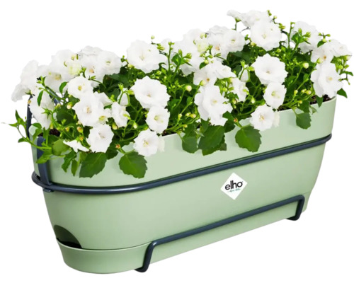 Blumenkasten mit weißen Blüten und Aufhängung