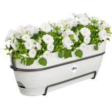 Jardinière avec fleurs blanches et logo Elho