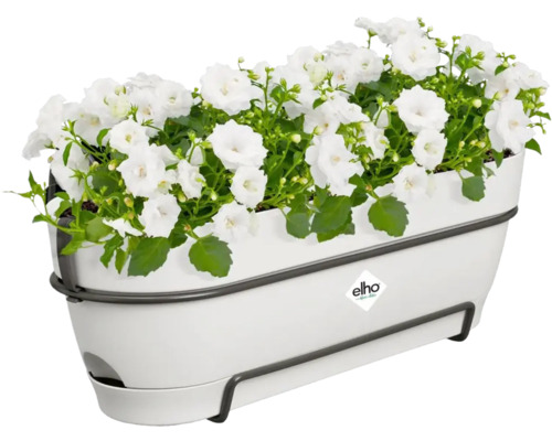 Jardinière avec fleurs blanches et logo Elho
