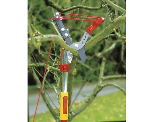 Sécateur pour couper les branches d''arbres