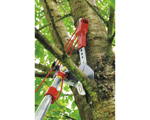 Élagueuse en cours d''utilisation dans un arbre