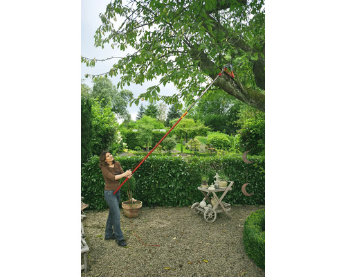 Une femme coupe des branches avec une scie à branches dans le jardin.