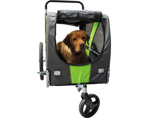 Chien dans une remorque de vélo pour chiens