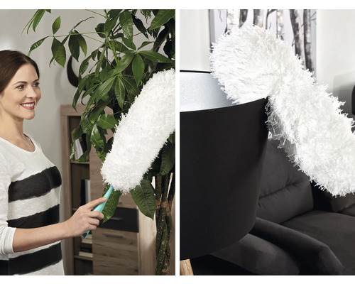 Frau reinigt Zimmerpflanze mit Staubwedel