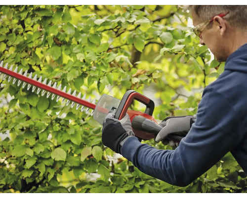 Mann schneidet Hecke mit einer Heckenschere