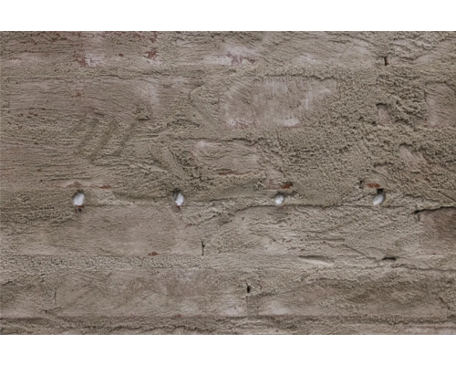 Detailaufnahme einer verputzten Ziegelwand mit sichtbaren Dübeln
