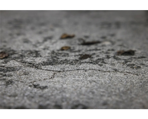 Gros plan d''une surface en béton avec des fissures et des feuilles
