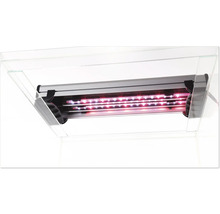 Éclairage d''aquarium avec rampes LED