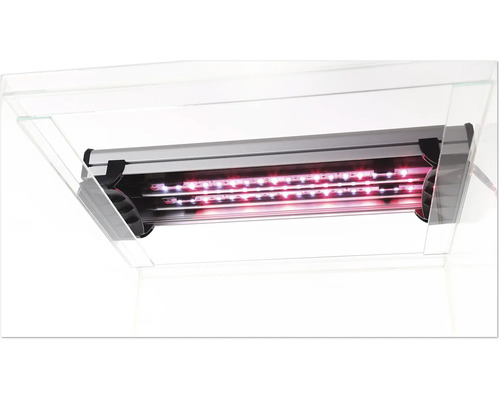 Éclairage d''aquarium avec rampes LED