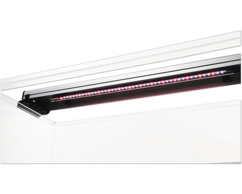 Éclairage LED pour aquarium