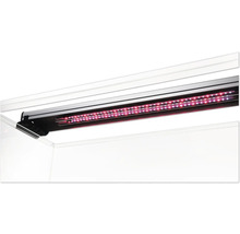 Aquarium Aluminiumaufsatzleuchte sera AquaTank Light Set fiXture mit 2 LED daylight sunrise 660 für alle sera Aqua Tanks 80 cm
