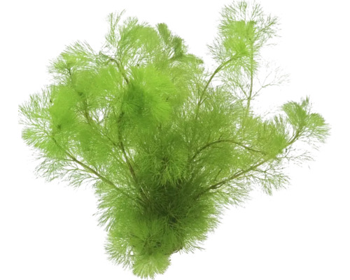 Plante aquatique artificielle pour aquariums