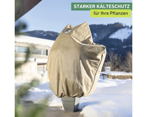 Pflanzenschutzhülle im Wintergarten