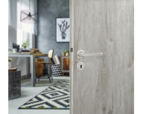 Graue Innentür mit Türbeschlag und Blick in ein Arbeitszimmer